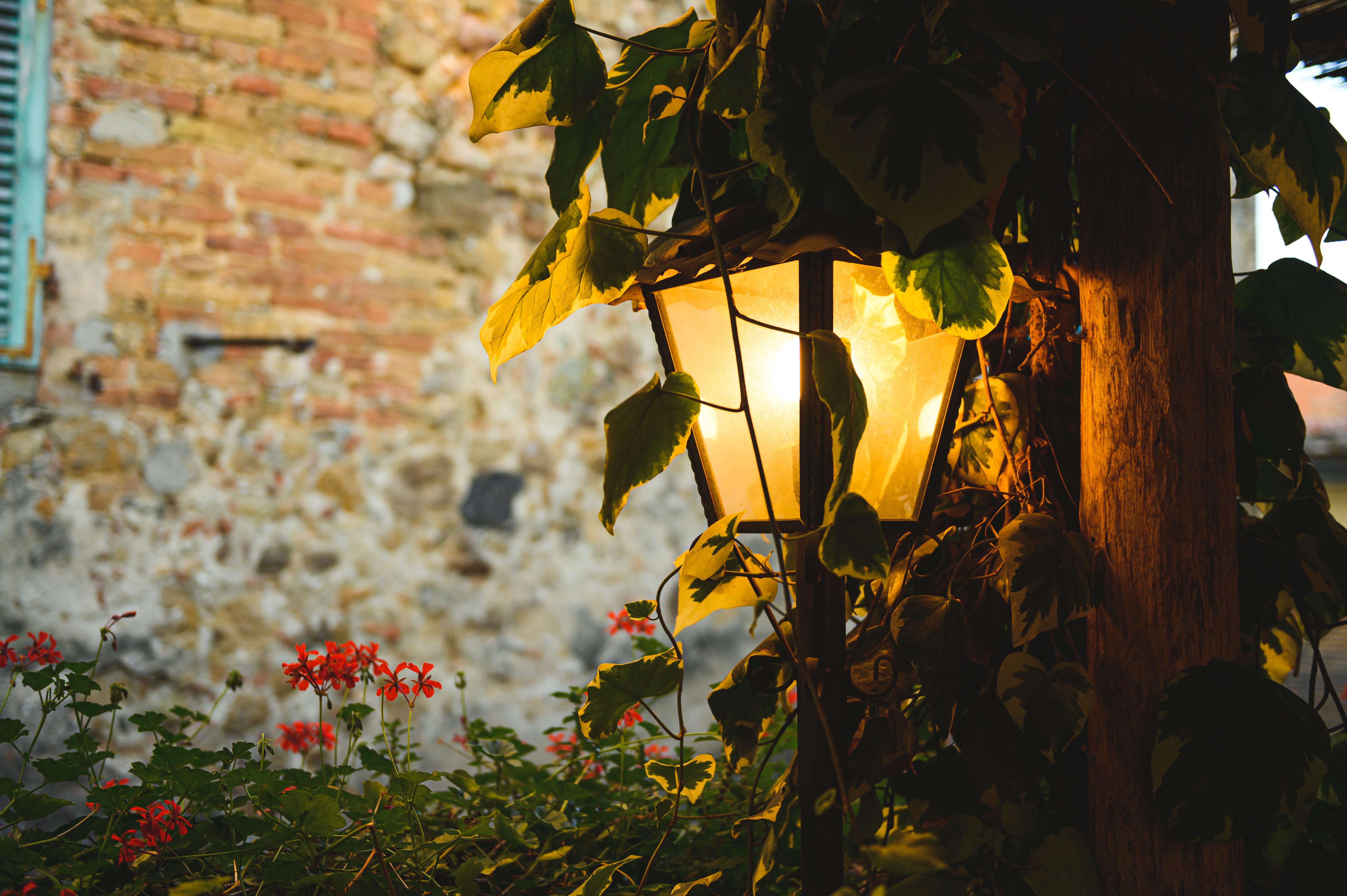 Palazzo Del Capitano Wellness E Relais Hotel San Quirico d'Orcia Ngoại thất bức ảnh