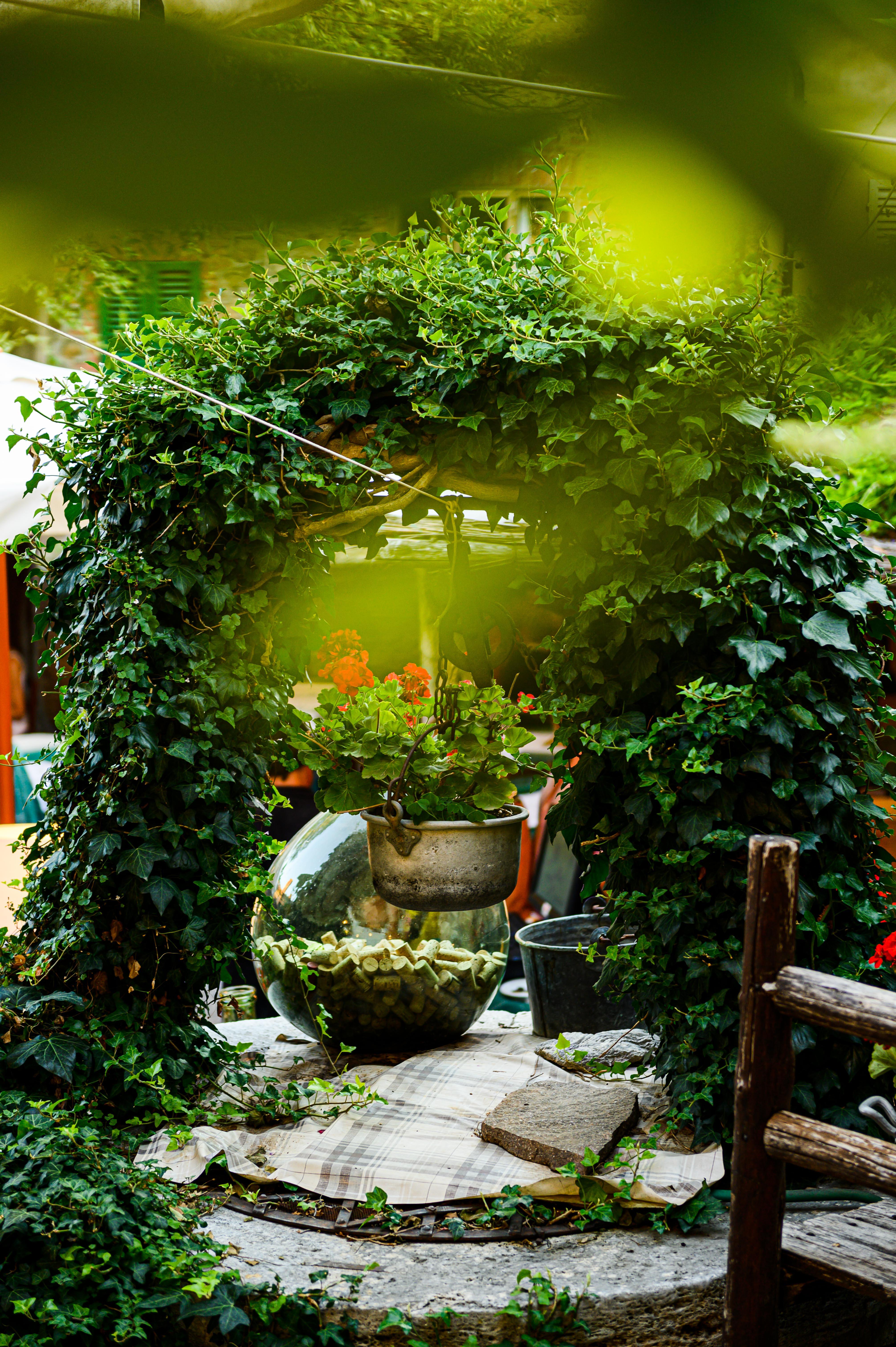 Palazzo Del Capitano Wellness E Relais Hotel San Quirico d'Orcia Ngoại thất bức ảnh